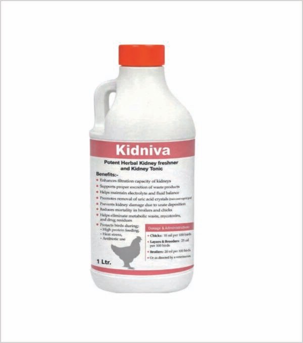 Kidniva