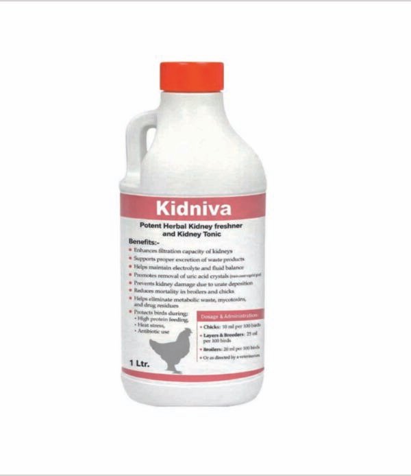 Kidniva